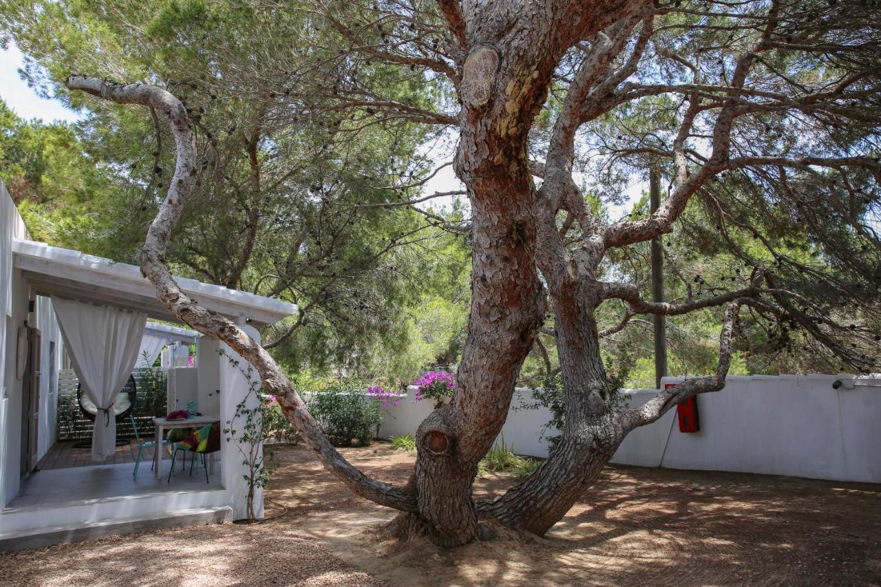 الشقق الفندقية سانت فيران دي سيس روكيهفي  La Hacienda المظهر الخارجي الصورة